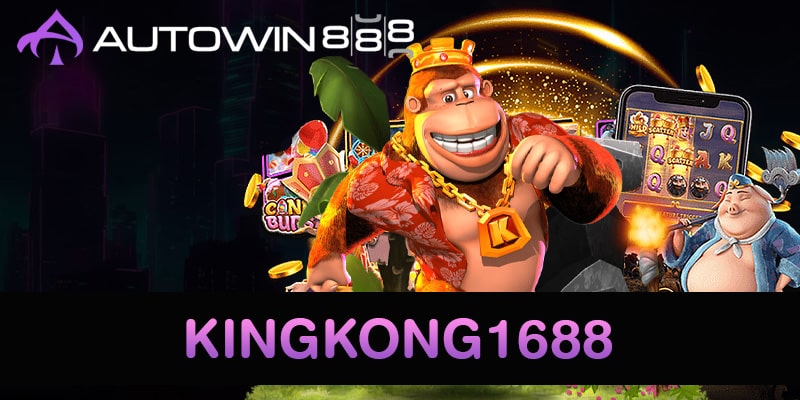 Kingkong1688